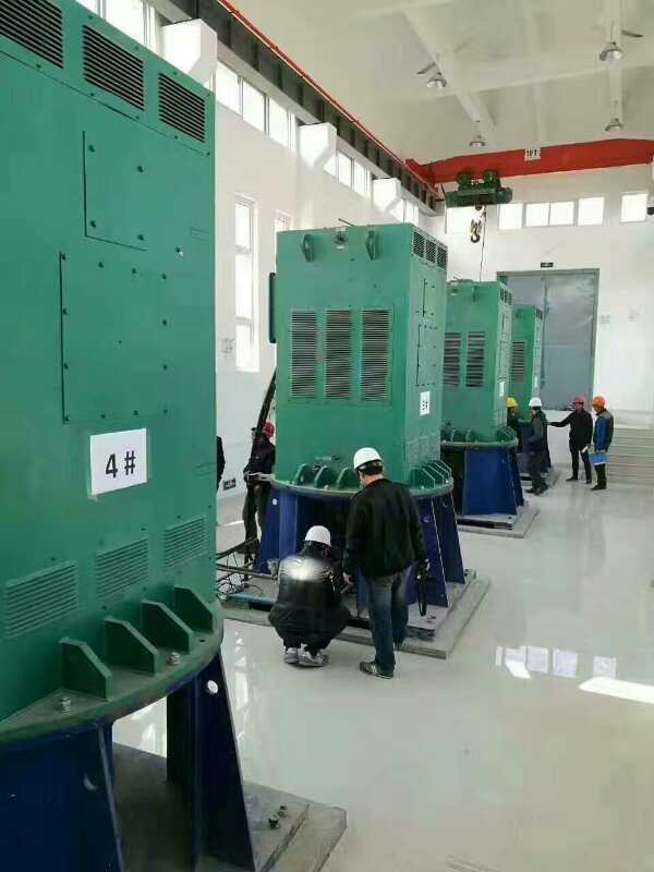浑江某污水处理厂使用我厂的立式高压电机安装现场哪家好